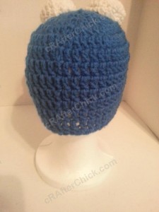 Cookie Monster Character Hat Crochet Pattern (8)