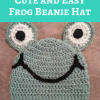 Cute and Easy Frog Beanie Hat Free Crochet Pattern