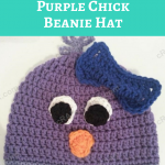 Rochelle’s Pretty Purple Chick Beanie Hat Crochet Pattern