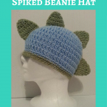 Gavin’s DinoRAWR Spiked Beanie Hat Crochet Pattern