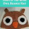 Hootie the Wise Owl Beanie Hat Free Crochet Pattern