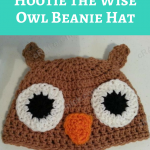 Hootie the Wise Owl Beanie Hat Crochet Pattern